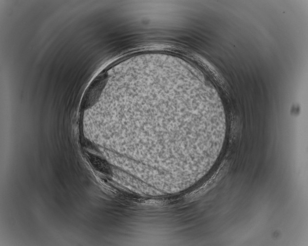 X0000099501178200806121408