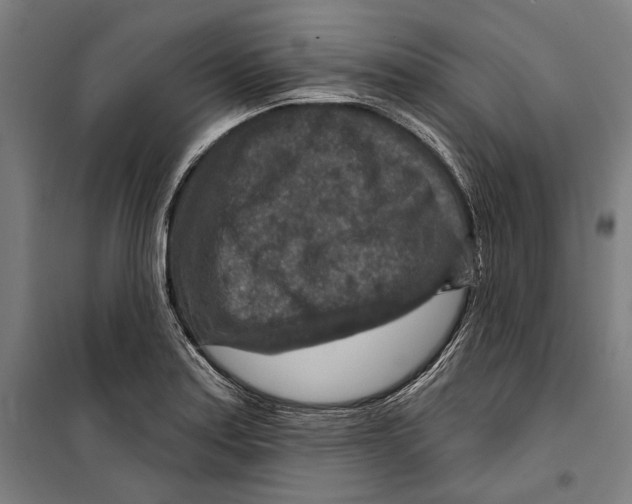 X0000099501179200806121408