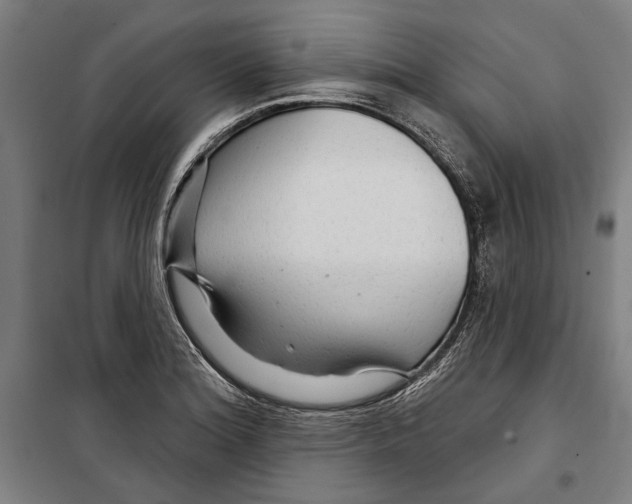 X0000099501180200806121408