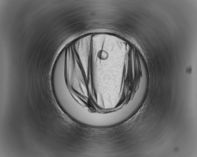 X0000099501181200806121408