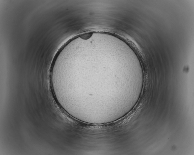 X0000099501182200806121408