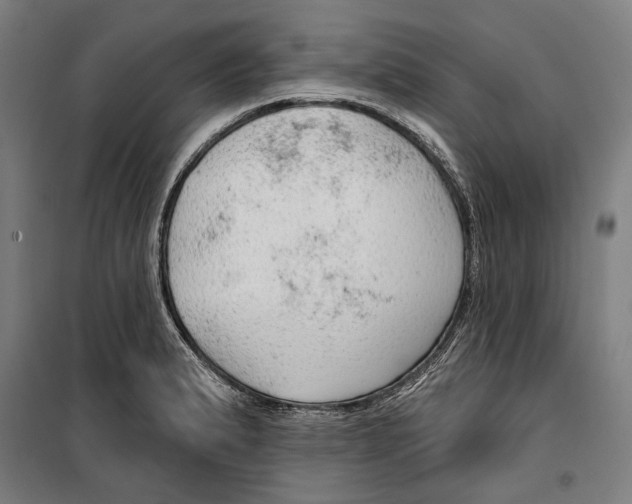 X0000099501183200806121408