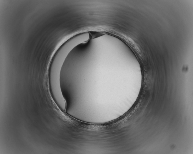 X0000099501184200806121408