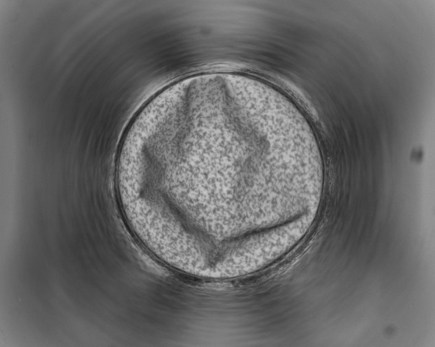 X0000099501186200806121408