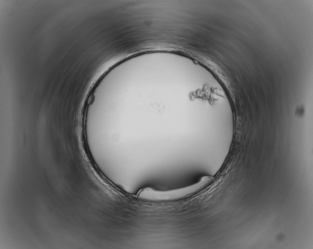 X0000099501187200806121408