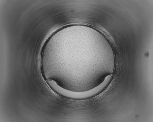 X0000099501188200806121408