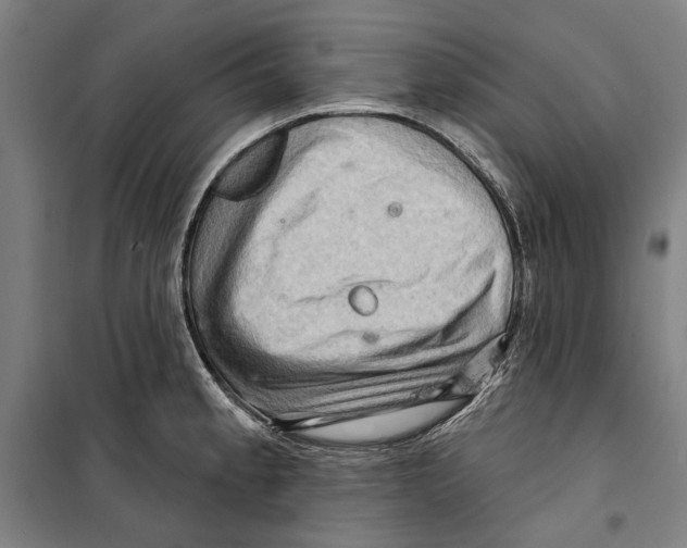 X0000099501189200806121408