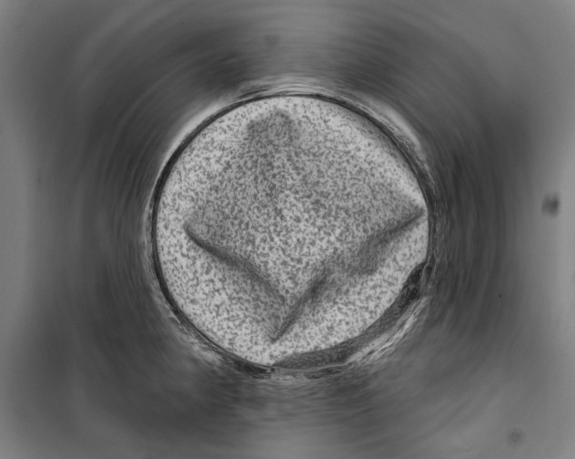 X0000099501190200806121408