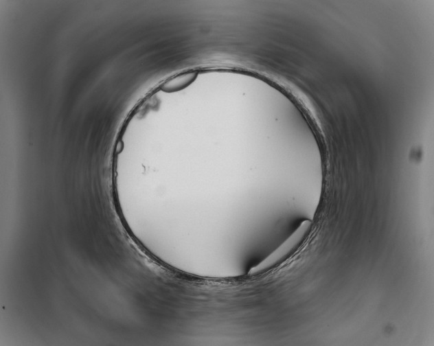 X0000099501191200806121408