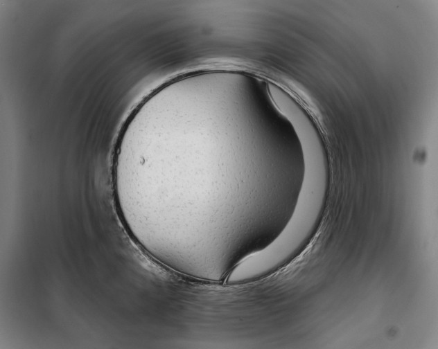 X0000099501192200806121408