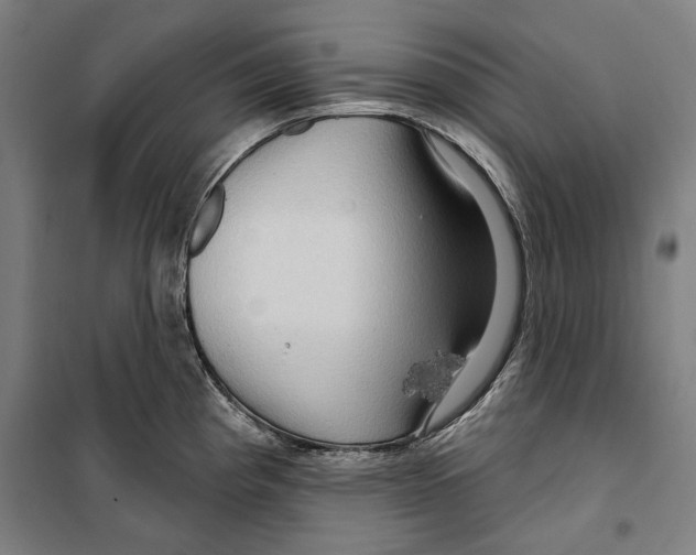 X0000099501193200806121408