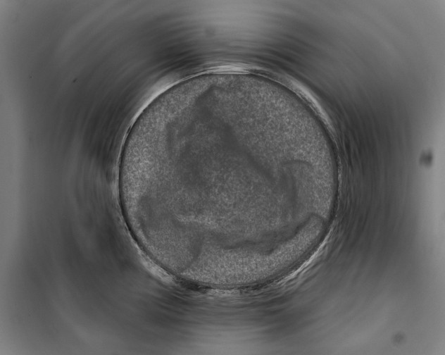 X0000099501194200806121408