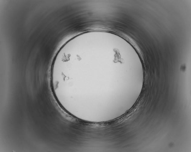 X0000099501195200806121408