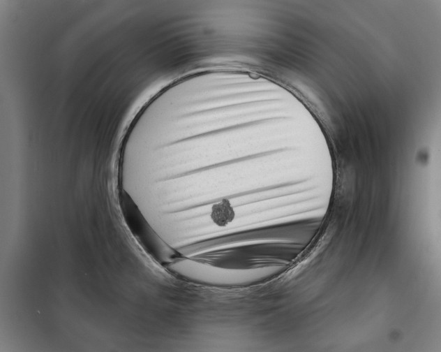 X0000099501196200806121408