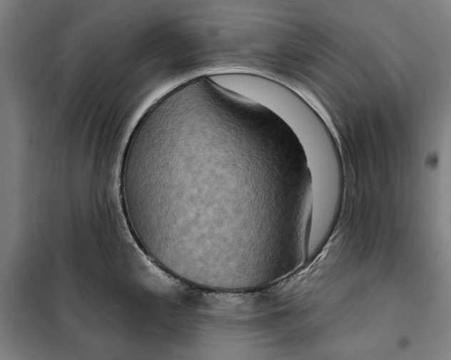 X0000099501197200806121408