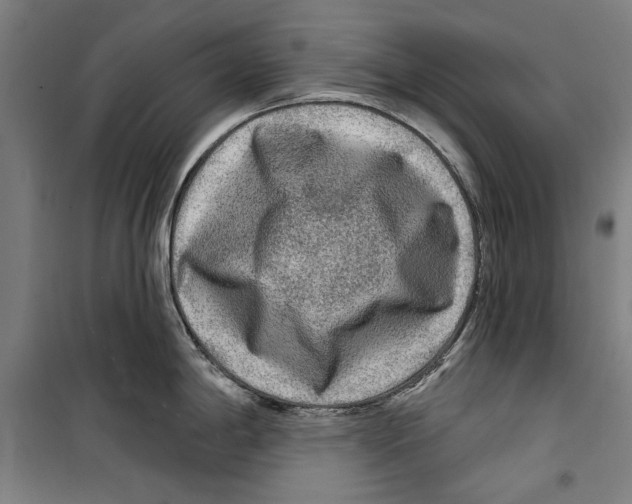 X0000099501198200806121408