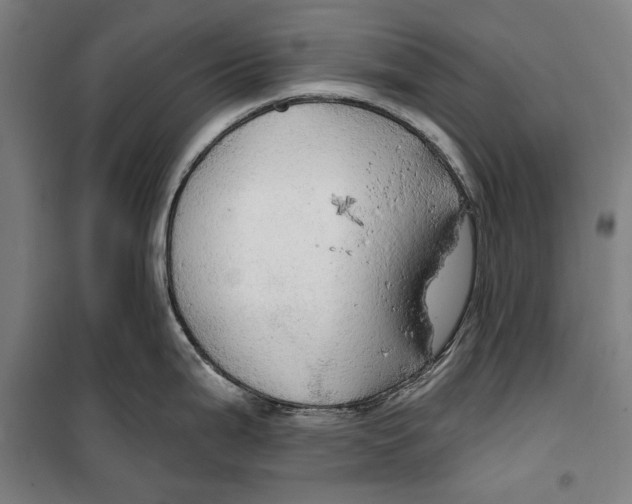 X0000099501199200806121408