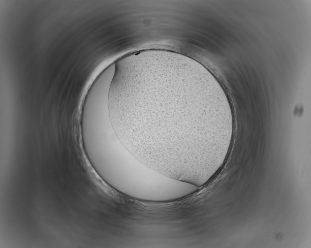 X0000099501200200806121408