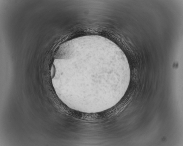 X0000099501201200806121407