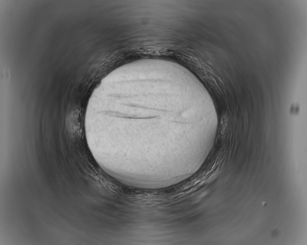 X0000099501202200806121407