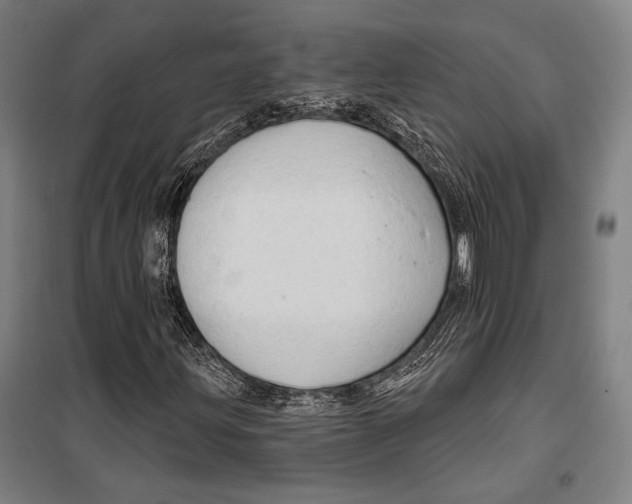 X0000099501203200806121407