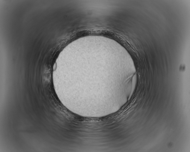 X0000099501204200806121407