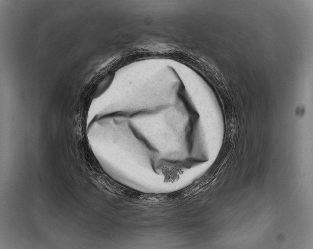 X0000099501205200806121407