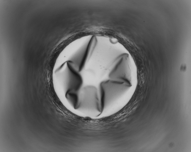 X0000099501206200806121407