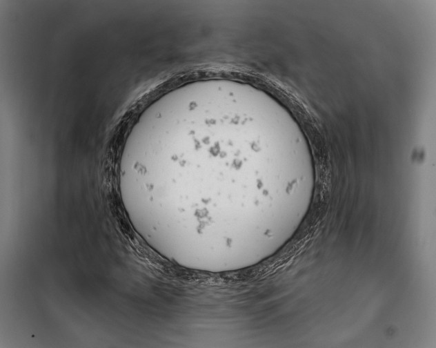 X0000099501207200806121407