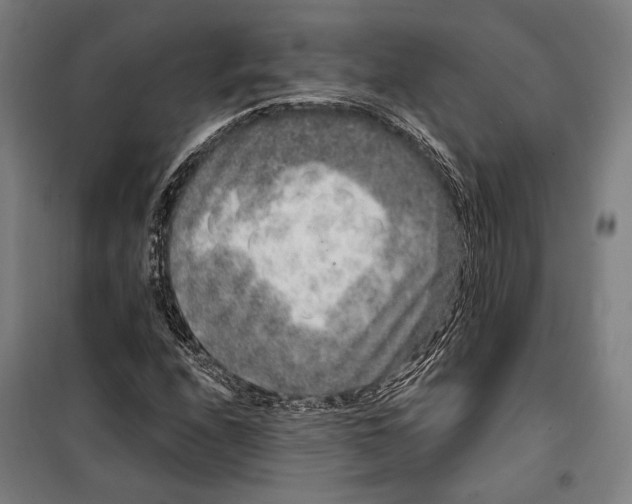 X0000099501208200806121407