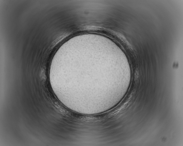 X0000099501209200806121407