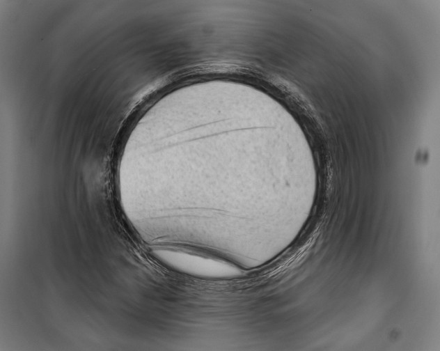 X0000099501210200806121407