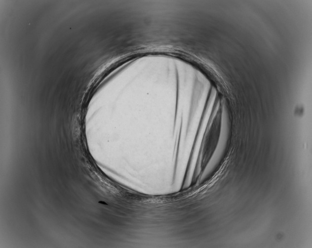 X0000099501212200806121407