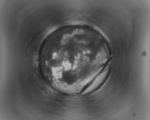 X0000099501213200806121407