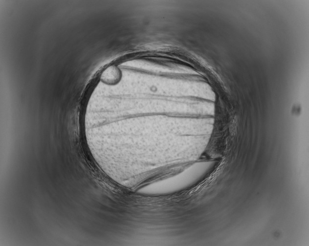 X0000099501214200806121407