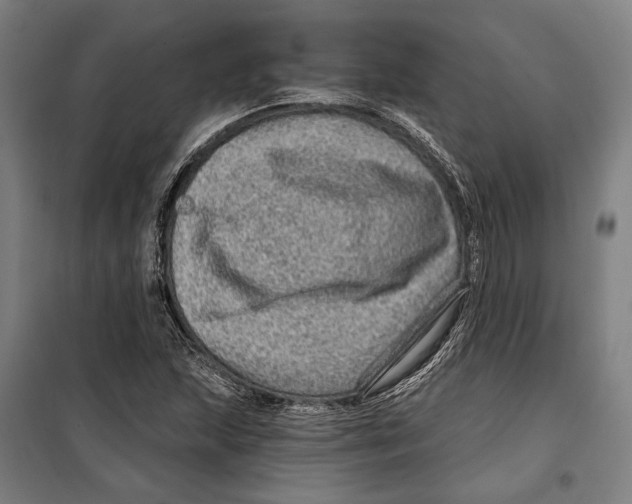 X0000099501215200806121407