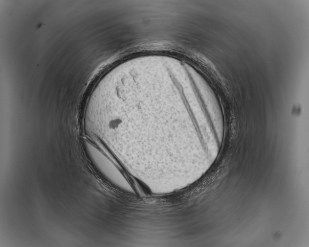 X0000099501218200806121408