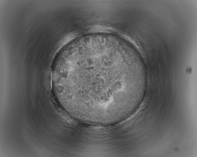 X0000099501219200806121408