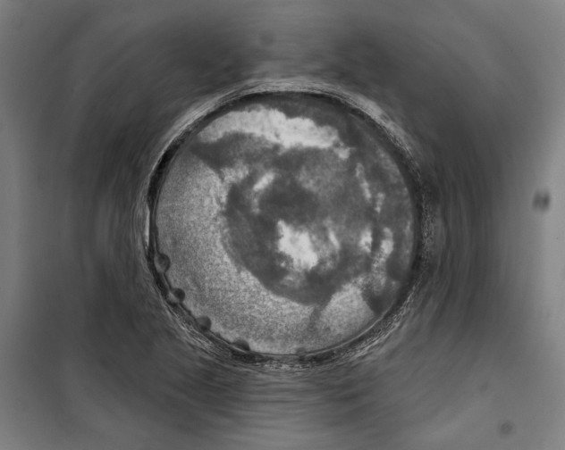 X0000099501221200806121408