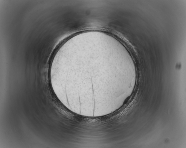 X0000099501222200806121408