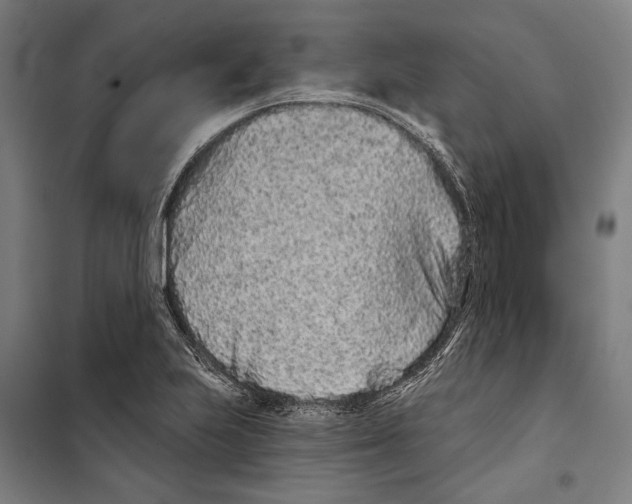 X0000099501223200806121408