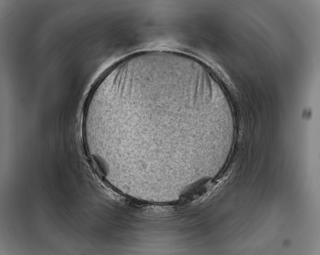 X0000099501224200806121408