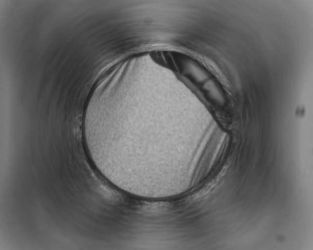 X0000099501225200806121408