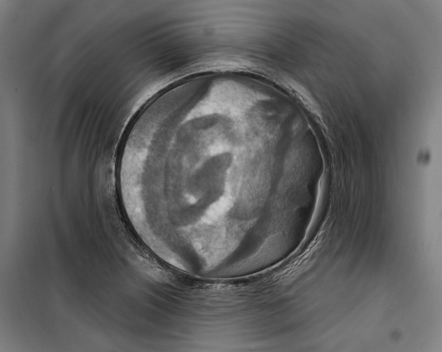 X0000099501226200806121408