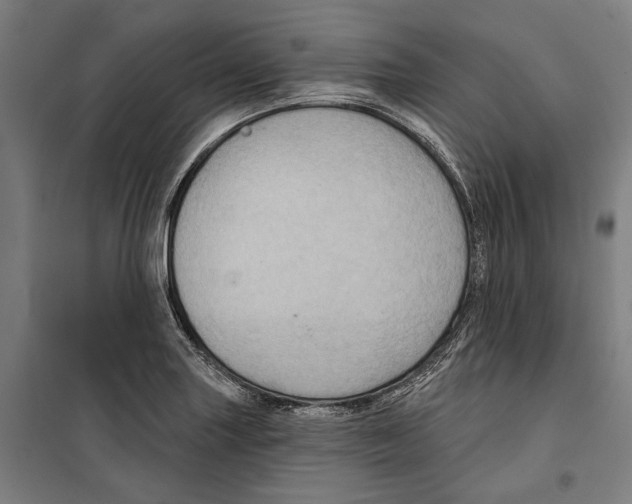 X0000099501227200806121408