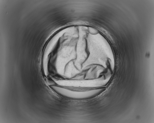 X0000099501228200806121408