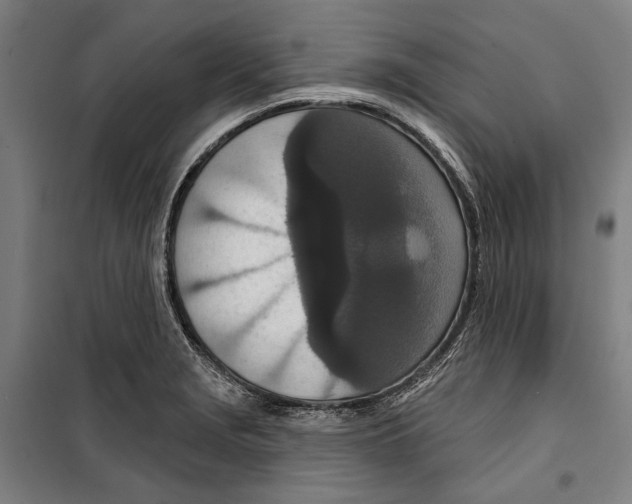 X0000099501229200806121408