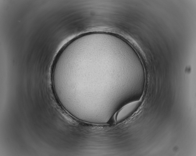 X0000099501230200806121408