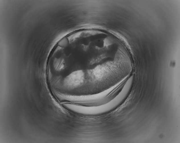 X0000099501231200806121408