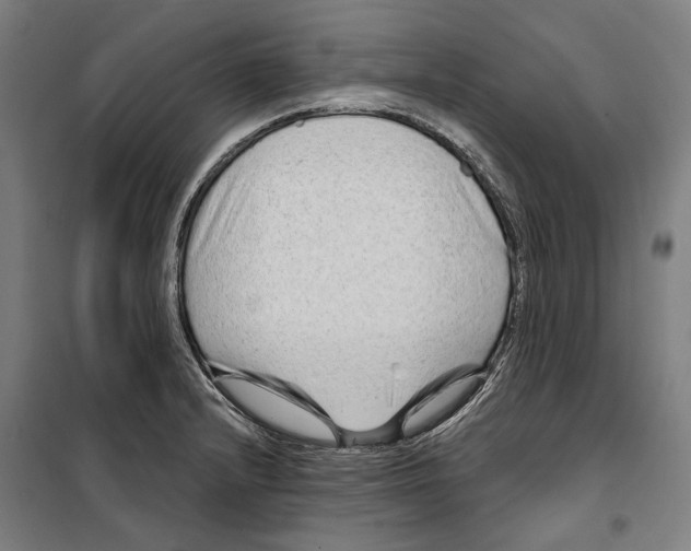 X0000099501232200806121408